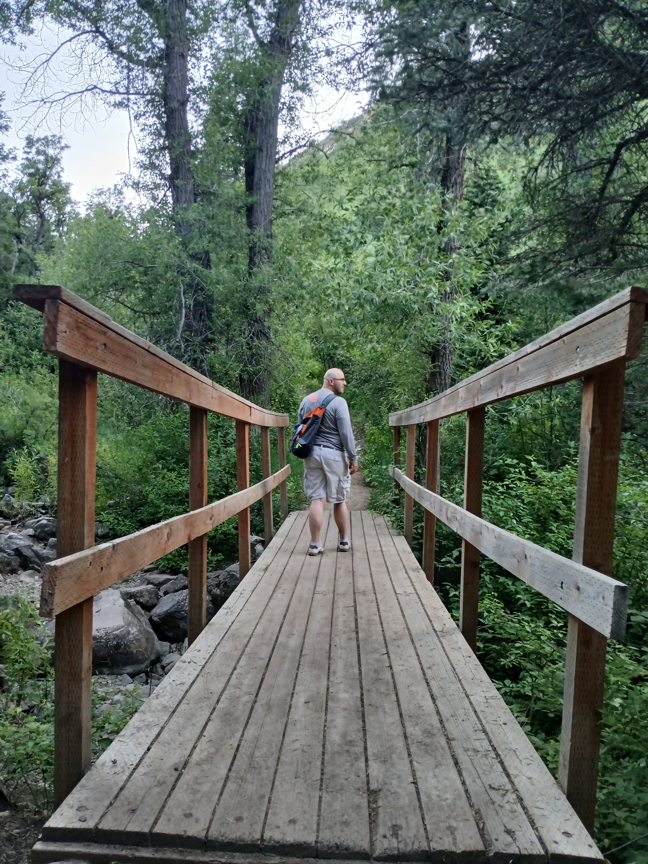 Bridge 