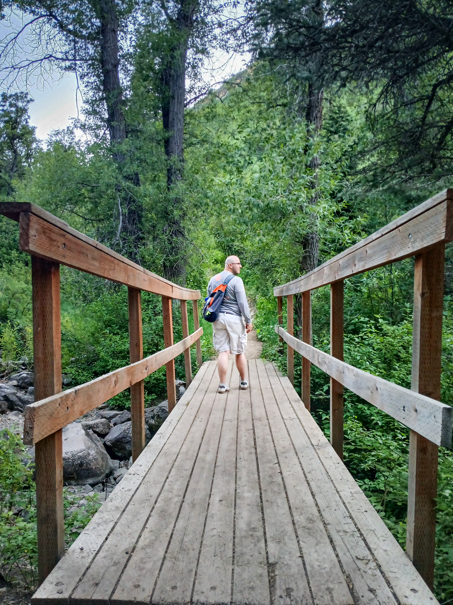 Bridge after
